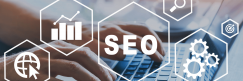 What does SEO mean?